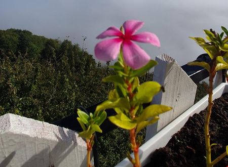 turkiye/duzce/duzce-merkez/toptepe-panorama-otel_4d423386.jpg
