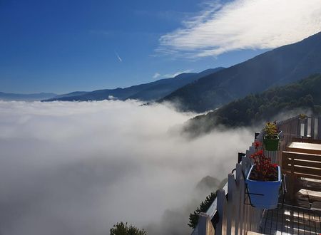 turkiye/duzce/duzce-merkez/toptepe-panorama-otel_b2b3619a.jpg