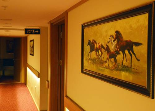 turkiye/duzce/merkez/otel-hatipoglu_54a6b11d.jpg