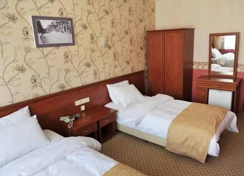 turkiye/edirne/edirne-merkez/saray-hotel_3e04e4bf.png