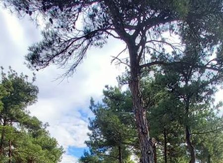 turkiye/edirne/kesan/marisstone-hotels_03c1746c.jpg