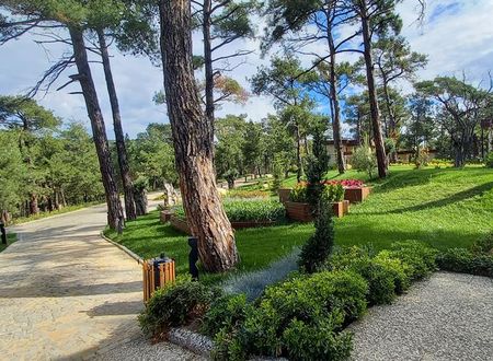 turkiye/edirne/kesan/marisstone-hotels_37fb66fe.jpg