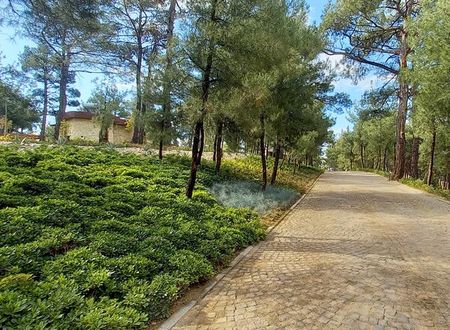 turkiye/edirne/kesan/marisstone-hotels_af944b7c.jpg