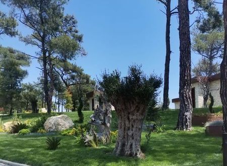 turkiye/edirne/kesan/marisstone-hotels_d0d1bc61.jpg