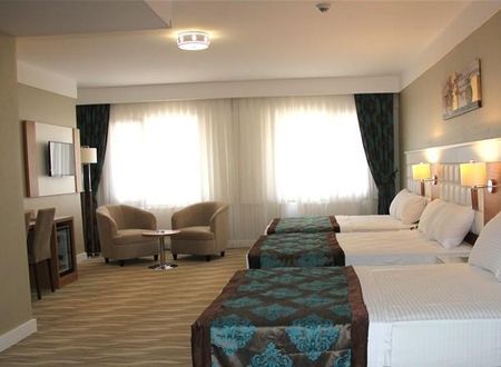 turkiye/elazig/elazig-merkez/grand-aras-otel_ebdd370b.jpg
