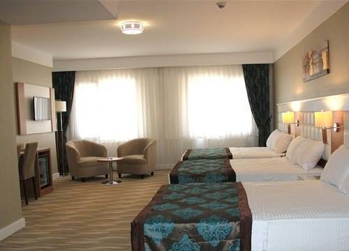 turkiye/elazig/elazig-merkez/grand-aras-otel_ebdd370b.jpg