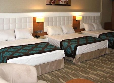turkiye/elazig/elazig-merkez/grand-aras-otel_f0e1f699.jpg