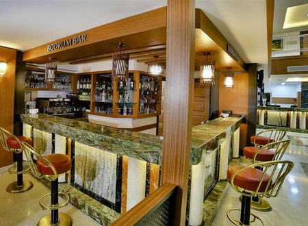 turkiye/elazig/elazig-merkez/marathon-hotel-43055809.jpg