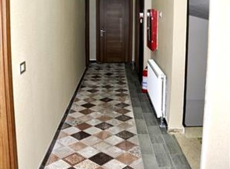 turkiye/elazig/karakocan/hanedan-hotel-523753096.JPG