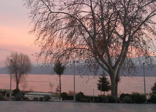 turkiye/elazig/sivrice/turpol-resort-hotel_3c981f15.jpg