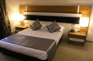 turkiye/erzincan/merkez/buyuk-erzincan-otel-1428081.jpg