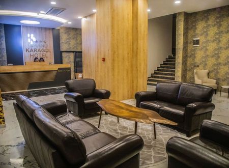 turkiye/erzincan/tercan/grand-karagul-hotel_8425bbe4.jpg