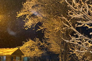 turkiye/erzurum/ispir/ozbag-otel_e882139d.jpg