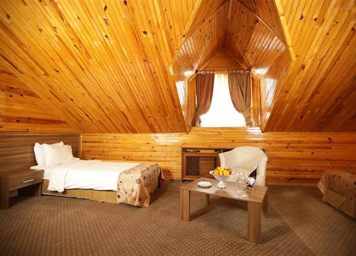 turkiye/erzurum/palandoken/dedeman-palandoken-resort-9567265f.jpg