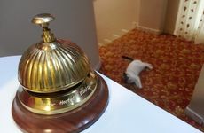 turkiye/eskisehir/tepebasi/eskisehir-hostel-bulvar_1c4545a7.jpg