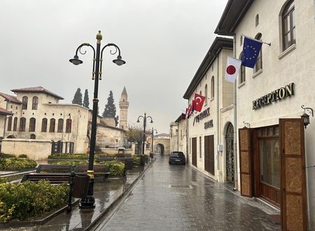 turkiye/gaziantep/sahinbey/tas-konak-hotel-gaziantep_f64afd3e.jpg