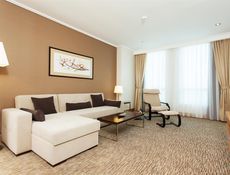 Apartment King Bed City View-