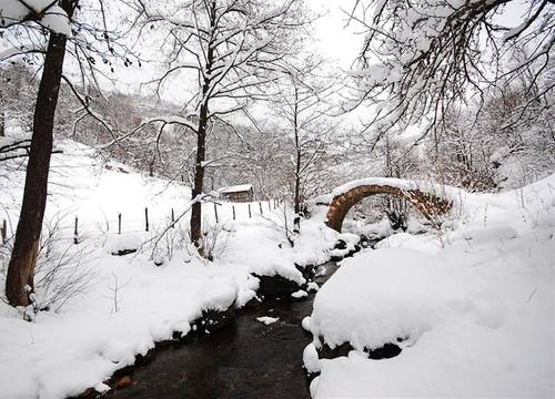 turkiye/giresun/dereli/home-stay-sullu-dag-evi-a3a2662a.jpg