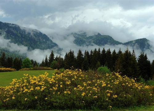 turkiye/giresun/dereli/home-stay-sullu-dag-evi-bb79a60b.jpg