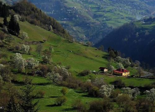 turkiye/giresun/dereli/home-stay-sullu-dag-evi_03b5f9c6.jpg