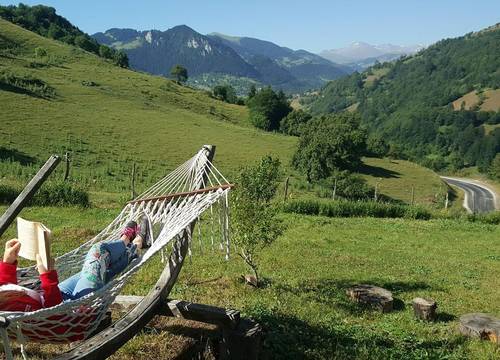 turkiye/giresun/dereli/home-stay-sullu-dag-evi_90456d6f.jpg