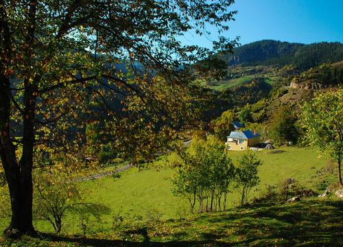 turkiye/giresun/dereli/home-stay-sullu-dag-evi_cabb58ad.jpg