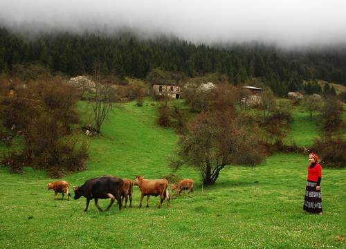 turkiye/giresun/dereli/home-stay-sullu-dag-evi_e4d4eed2.jpg