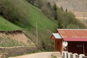 turkiye/giresun/dereli/mert-alabalik_2338f0c4.jpg