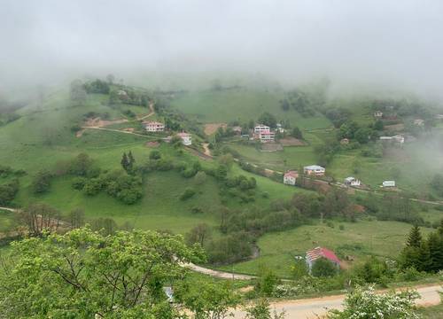 turkiye/giresun/dereli/mert-alabalik_3c3b2b24.jpg