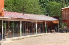 turkiye/giresun/dereli/mert-alabalik_45f4aff3.jpg