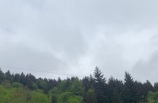 turkiye/giresun/dereli/mert-alabalik_b520e65e.jpg