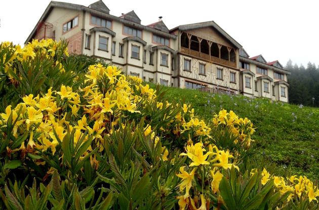 turkiye/giresun/dereli/zifin-hotel_c5536451.jpg
