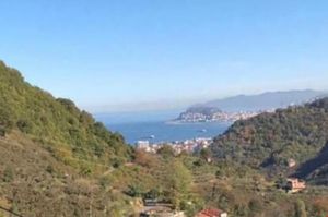 turkiye/giresun/giresun-merkez/luks-dag-evi_63764852.jpg