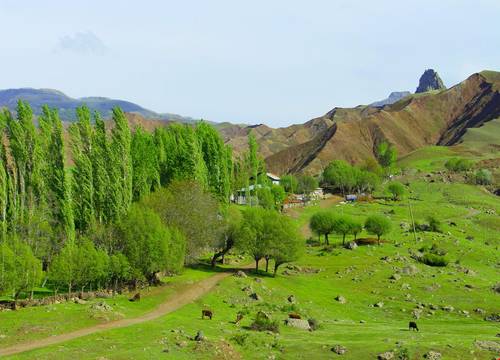 turkiye/giresun/sebinkarahisar/duo-head-hill-home_fb152a84.jpg