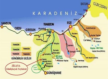 turkiye/gumushane/torul/zigana-gumuskayak-yaylakent-1e4bd9f6.jpg