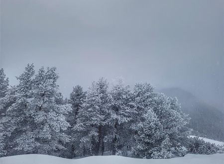 turkiye/gumushane/torul/zigana-gumuskayak-yaylakent-68c12da9.jpeg