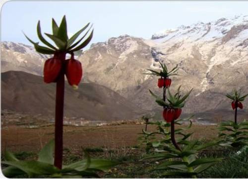turkiye/hakkari/merkez/hotel-senler-1587922.jpg