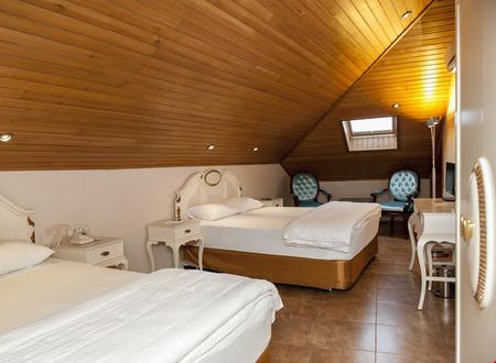 turkiye/hatay/antakya/cankaya-konaklari-hotel_31cee782.jpg