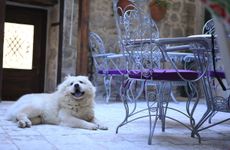 turkiye/hatay/antakya/cicekli-konak-butik-otel_5ef8f5a1.jpg