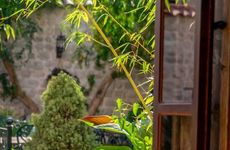 turkiye/hatay/antakya/yesil-ev-cafe-boutique-hotel_0fa8a926.jpg