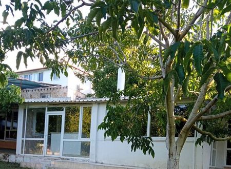 turkiye/hatay/arsuz/little-heaven-pansiyon-apart_055df2a4.jpg