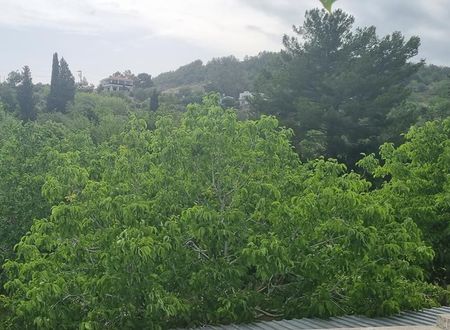 turkiye/hatay/arsuz/little-heaven-pansiyon-apart_19b12fab.jpg