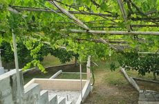 turkiye/hatay/arsuz/little-heaven-pansiyon-apart_b2652784.jpg