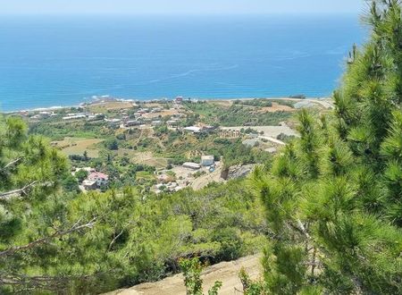 turkiye/hatay/arsuz/little-heaven-pansiyon-apart_bd4c1433.jpg