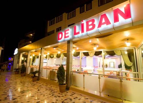 turkiye/hatay/merkez/de-liban-hotel-1920821.jpg