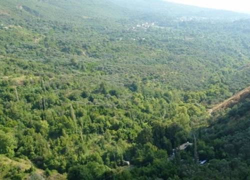 turkiye/hatay/merkez/defne-prenses-hotel-918613.jpg