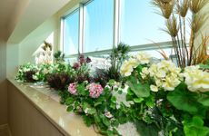 turkiye/igdir/igdir-merkez/hotel-star-royal_469ab920.jpg