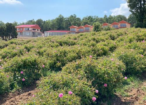 turkiye/isparta/keciborlu/la-vie-en-rose-otel_027bd73d.jpg