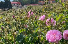 turkiye/isparta/keciborlu/la-vie-en-rose-otel_bcbb2acc.jpg