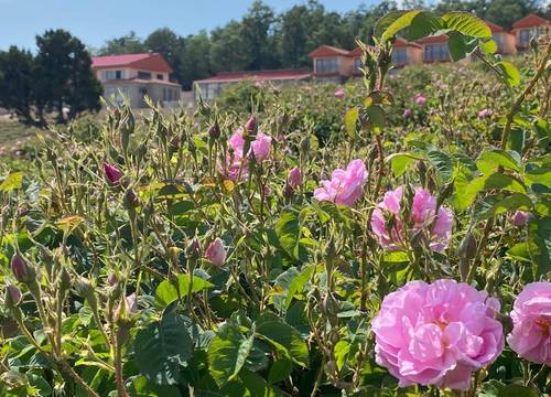 turkiye/isparta/keciborlu/la-vie-en-rose-otel_bcbb2acc.jpg